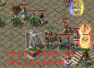 ����˽������ȫ���ԣ���δ����𲽳�Ϊ��ϷӢ�ۣ�