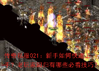 ����˽��021��������ο������֣�����һع�����Щ�ؿ����ɣ�