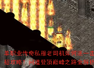 ��ְҵ����˽����˾�������һ���ƾ��й��ԣ��ʵ��Ƕ��۷�֮·ȫ������