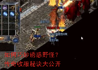 ��������ջ�Ұ�֣������շ��ؾ��󹫿�