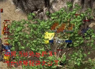 ��������ջ�Ұ�֣������շ��ؾ��󹫿�