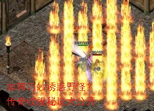 ��������ջ�Ұ�֣������շ��ؾ��󹫿�