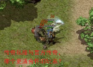 ����˽����ٷ����棬�ĸ����ʺϻ�����ң�