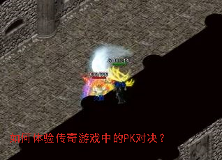 ������鴫����Ϸ�е�PK�Ծ���