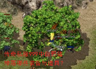 ����˽��999�а�Ұ��������Щװ������ߣ�