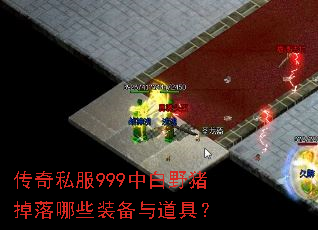 ����˽��999�а�Ұ��������Щװ������ߣ�
