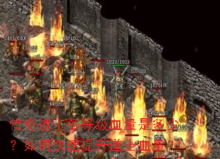 传奇道士各等级血量是多少?如何快速提升道士血量? 传奇道士各等级血量是多少?如何快速提升道士血量?
