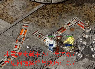 ��ѩ������������ȫ���ԣ������������뼼�ɻ��ܣ�