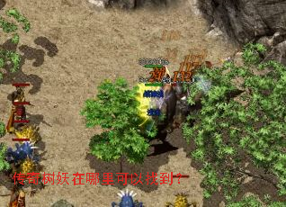传奇树妖在哪里可以找到? 传奇树妖在哪里可以找到?
