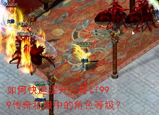 如何快速提升在好sf999传奇私服中的角色等级? 如何快速提升在好sf999传奇私服中的角色等级?