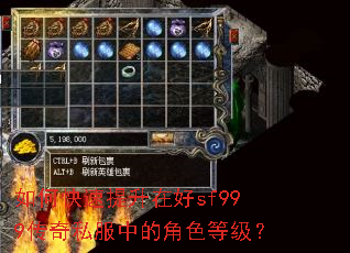 如何快速提升在好sf999传奇私服中的角色等级? 如何快速提升在好sf999传奇私服中的角色等级?