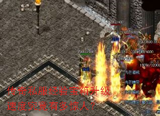 ����˽�����鱦�������ٶȾ����жྪ�ˣ�