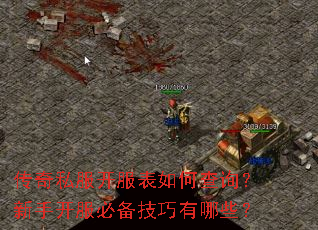 ����˽����������β�ѯ�����ֿ����ر���������Щ��