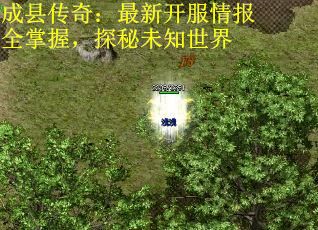 成县传奇：最新开服情报全掌握，探秘未知世界