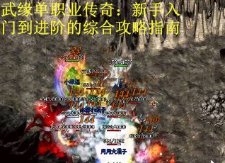 武缘单职业传奇：新手入门到进阶的综合攻略指南