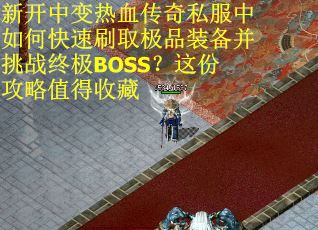 新开中变热血传奇私服中如何快速刷取极品装备并挑战终极BOSS？这份攻略值得收藏