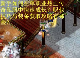 新手如何在单职业热血传奇私服中快速成长？职业技巧与装备获取攻略有哪些？