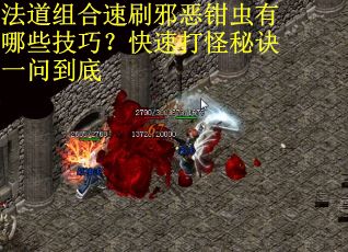 法道组合速刷邪恶钳虫有哪些技巧？快速打怪秘诀一问到底