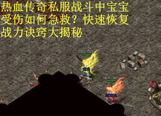 热血传奇私服战斗中宝宝受伤如何急救？快速恢复战力诀窍大揭秘