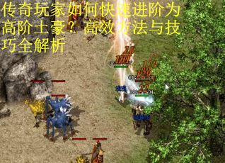 传奇玩家如何快速进阶为高阶土豪？高效方法与技巧全解析