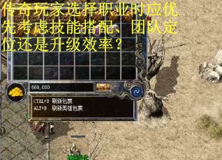 传奇玩家选择职业时应优先考虑技能搭配、团队定位还是升级效率？