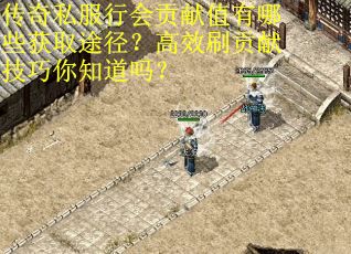 传奇私服行会贡献值有哪些获取途径？高效刷贡献技巧你知道吗？