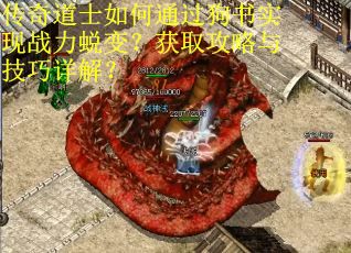 传奇道士如何通过狗书实现战力蜕变？获取攻略与技巧详解？