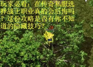 玩家必看：在传奇私服选择战士职业真的会后悔吗？这份攻略是否有你不知道的隐藏技巧？
