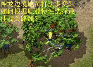 神龙边境地图打法多变？如何根据职业特性选择最佳闯关路线？