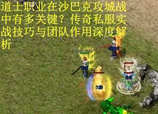 道士职业在沙巴克攻城战中有多关键？传奇私服实战技巧与团队作用深度解析