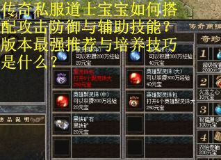 传奇私服道士宝宝如何搭配攻击防御与辅助技能？版本最强推荐与培养技巧是什么？
