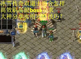 冰雪传奇双道士组合怎样高效刷高级boss？求大神分享实用攻略技巧？