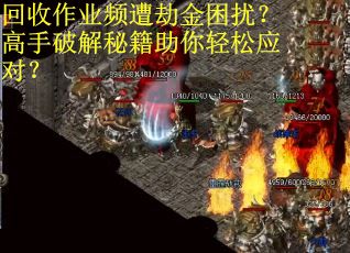 回收作业频遭劫金困扰？高手破解秘籍助你轻松应对？