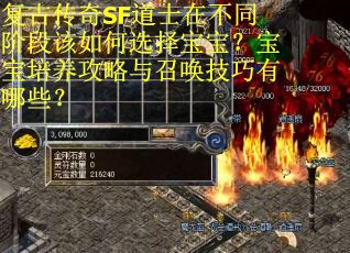 复古传奇SF道士在不同阶段该如何选择宝宝？宝宝培养攻略与召唤技巧有哪些？