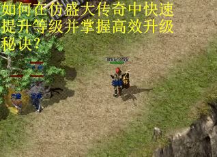 如何在仿盛大传奇中快速提升等级并掌握高效升级秘诀？