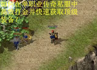 如何在单职业传奇私服中高效打金并快速获取顶级装备？