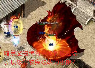 ڳﴫοͻսޣ