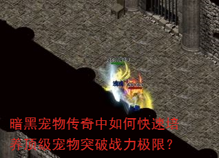 ڳﴫοͻսޣ