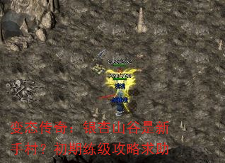 ̬棺ɽִ壿