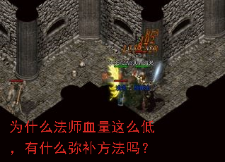 ΪʲôʦѪôͣʲôֲ