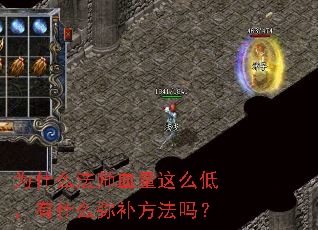 ΪʲôʦѪôͣʲôֲ