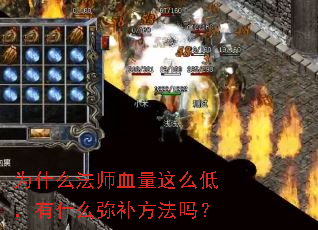 ΪʲôʦѪôͣʲôֲ
