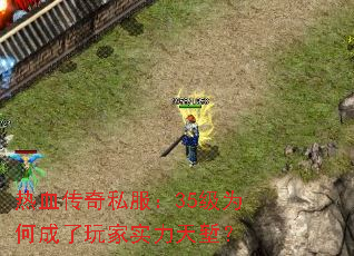 Ѫ˽35Ϊγʵǵ