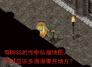 BOSSĴ˽ͼƽʱӦöЩط