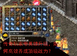ҴӢθЧɶս