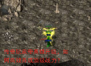 ҴӢθЧɶս