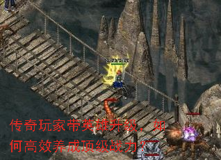 ҴӢθЧɶս