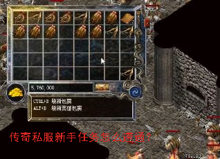 传奇私服新手任务怎么速通? 传奇私服新手任务怎么速通?