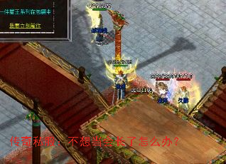 传奇私服:不想当会长了怎么办? 传奇私服:不想当会长了怎么办?