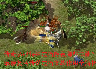 传奇私服特殊戒指隐藏哪些功能?麻痹复活传送戒指实战作用全解析 传奇私服特殊戒指隐藏哪些功能?麻痹复活传送戒指实战作用全解析